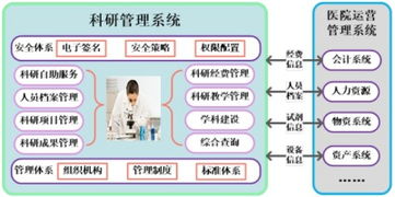 上海互联网软件集团信息咨询服务 赋能企业数字化未来